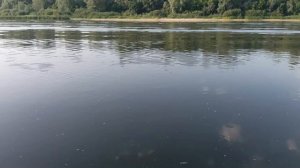 Река Дон