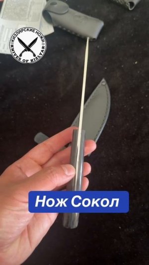 Нож Сокол