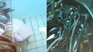 Клиника Семья