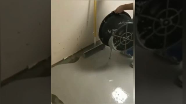 Заливка пола. Модные тапки