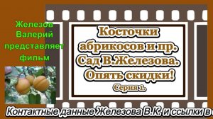 Косточки абрикосов и пр. Сад В.Железова. Опять скидки! Серия 1.
