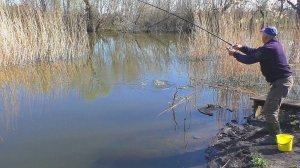 Взял жену на рыбалку и сразу  клюнул трофей