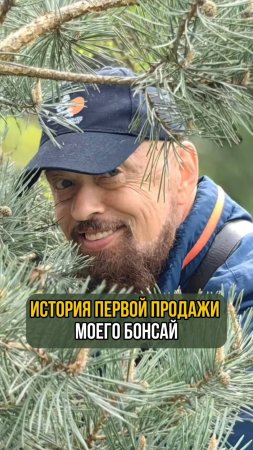 История первой продажи моего #бонсай
