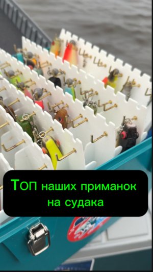 Наш топ приманок на судака! 
Полное видео уже на канале!