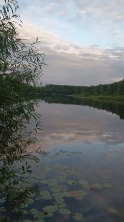 рыбалка