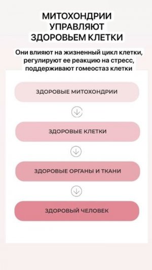 Ваше здоровье