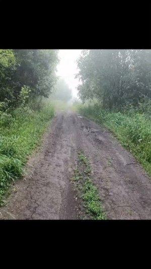 «Шаги как медитация»