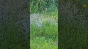 1000007397.mp4