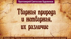Тварная природа и нетварная