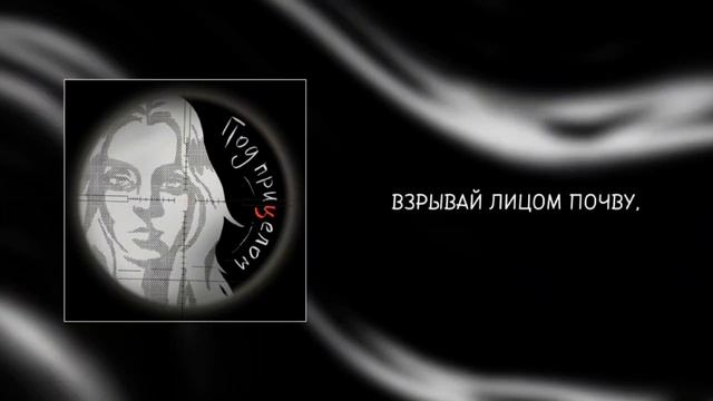 ToryKane - Под прицелом