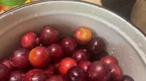 Варенье с красной сливы. #варенье #заготовкиназиму #краснаяалыча