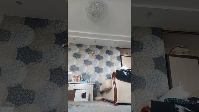 канал шиншиллы крутые