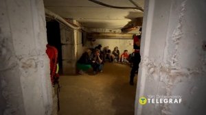 🔴Скакуны подвальные. Киев сеходня🙂🔴