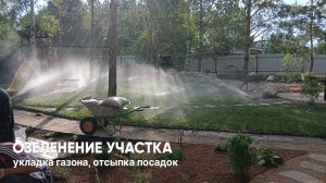 Озеленение участка: укладка газона и отсыпка посадок