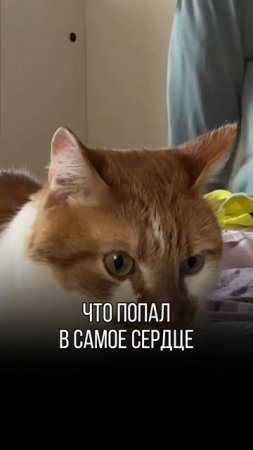 Поддерживаем вас Юмором каждый день!