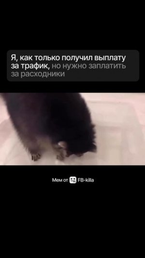 Я, как только получил выплату за трафик, но нужно платить за расходники