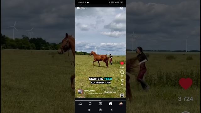 1000068260.mp4