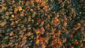 НЕ ХОДИ В.... Страшные. Мистические. Творческие истории. Хоррор