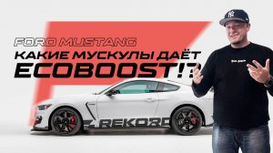 FORD MUSTANG: Какие мускулы даёт EcoBoost!?