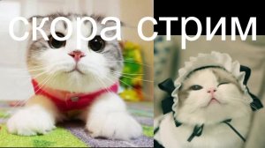 прикольчики на авито а после смотрим женский стендап пока не засмеёмся