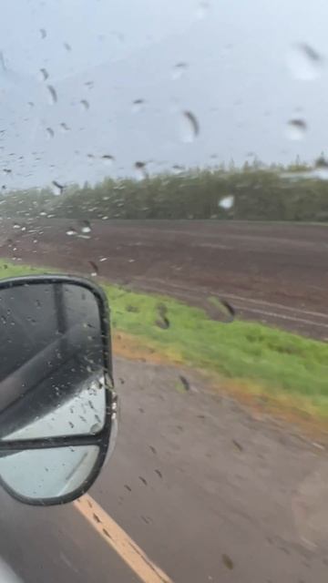 Просто летний дождь