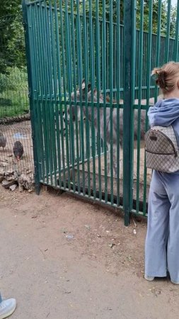 Ослик переживает