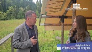 Липа да ива