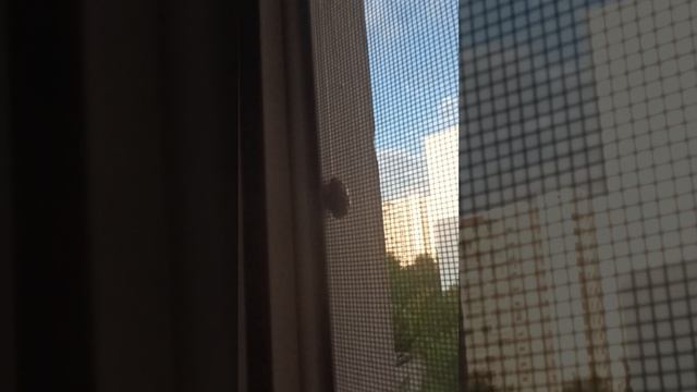 1000001804.mp4