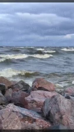В Питере у пляжа Дюны автомобили уходят под воду. В Ленобласти скорость ветра достигает 25 м/с