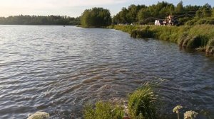 Зарыбление карпа,карповая рыбалка РК "Фишка" Петряиха