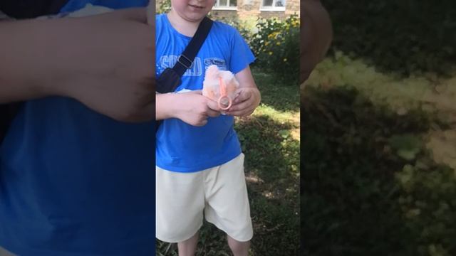 VID_20250703_141623.mp4