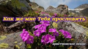 Как же мне Тебя прославить ❤️ христианская песня