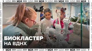 На ВДНХ открылся первый в стране биокластер - Москва 24