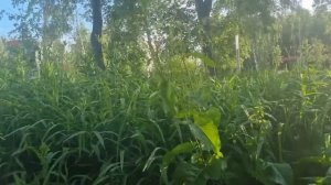 Прогулка по Перми ч.5