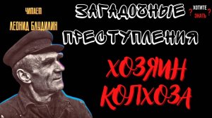 Загадочные Преступления: Как председатель колхоза в Красноярской деревне, возомнил себя БАРИНОМ.