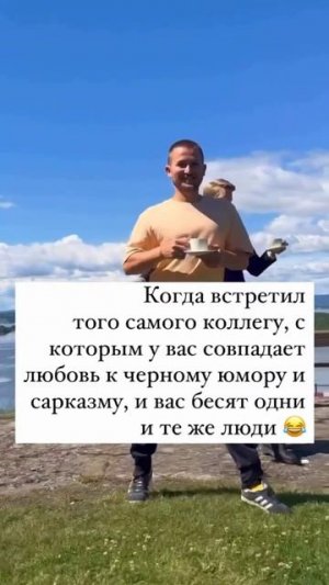Коллеги