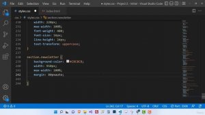 17. Project The Newsletter Section