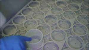 Как собрать формовочный стол с фальш-дном, трафаретом и групповой воронкой – пошаговая инструкция