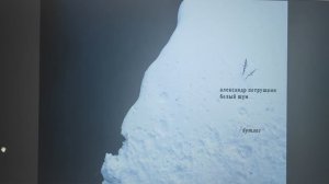 КНИГА 1018 Александр Петрушкин. Белый шум. Бутлег (Кыштым, 2017)