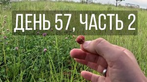 День 57, часть 2