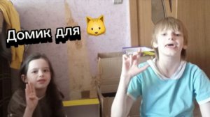 Построили домик для кошки из картона