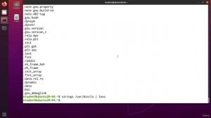034 Searching for Strings in Binary Files (strings)