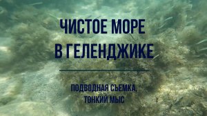 Чистое море в Геленджике, подводная съемка, Тонкий мыс, пляж ВИАМ и дикий пляж в открытом море
