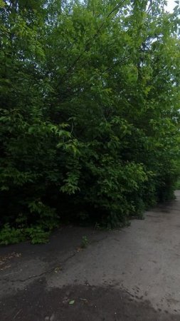 Прогулка. I'll find a way out soon