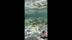 Дикарями по Приморью: мыс Четырех скал, одна змея и миллион звезд