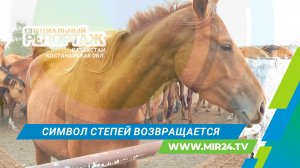 Как в Казахстане возрождают костанайскую породу лошадей?