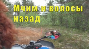 КУКУШКИНЫ СЛЕЗЫ С ЛЕНОЧКОЙ НА КВАДРОЦИКЛЕ  24 июня 2025 г