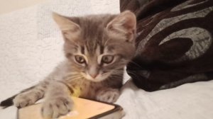 😍А кто у нас тут такой красавчик??

Джей (бывш. Юки) желает всем доброго вечера!