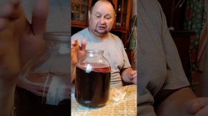 Чайный_гриб_на_каркадэ_2025