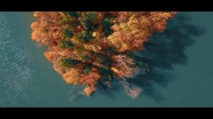 Созвучие - Осень (Рук. Наталья Белова)